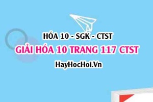 Giải Hóa 10 Chân trời sáng tạo trang 117